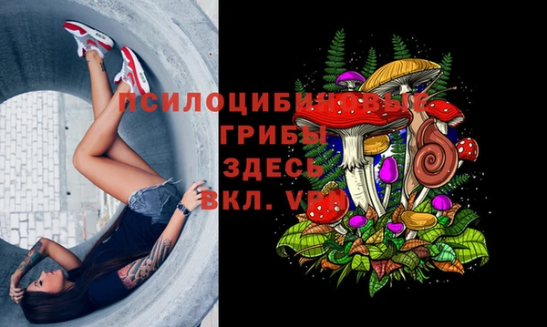 мет Надым