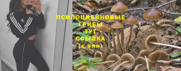 мет Надым