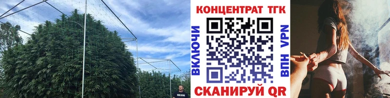 блэк спрут зеркало  Салаир  ТГК вейп с тгк 