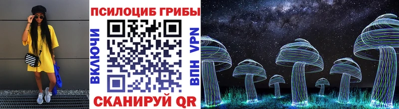 Галлюциногенные грибы Cubensis  закладки  Салаир 
